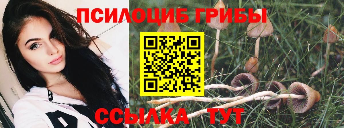 Псилоцибиновые грибы мухоморы Гай