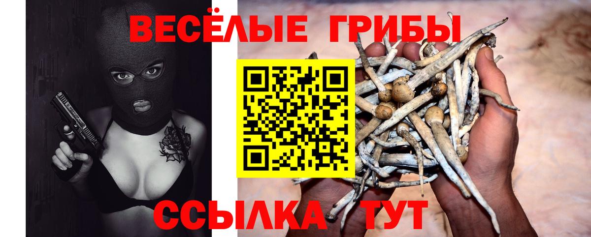 Псилоцибиновые грибы MAGIC MUSHROOMS  Вход с VPN  Гай  Псилоцибиновые грибы MAGIC MUSHROOMS 